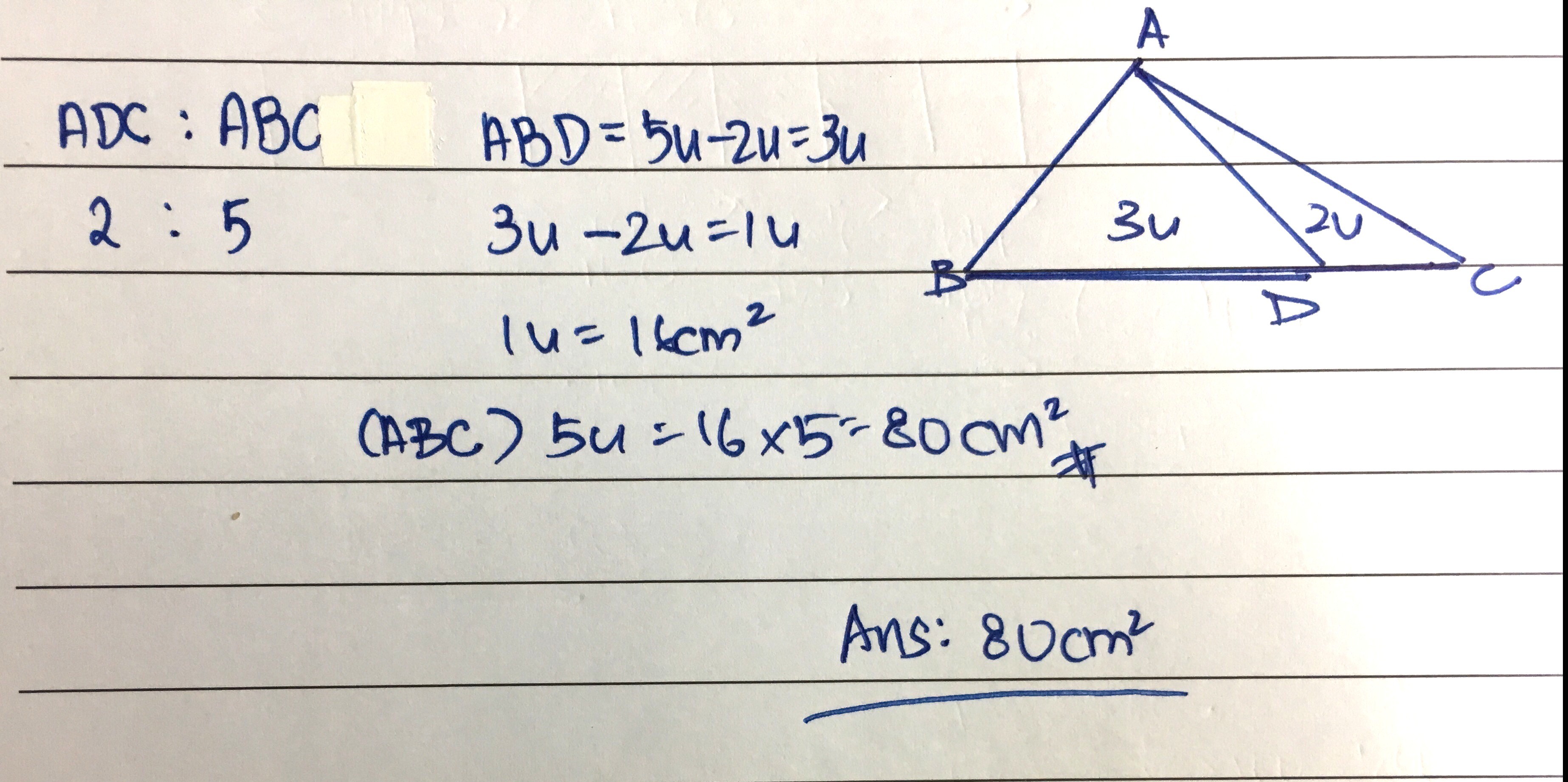 kindly-let-us-know-the-solution-plz-thx-ask-manytutors