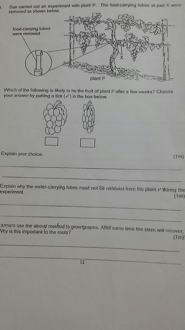 Ask ManyTutors
