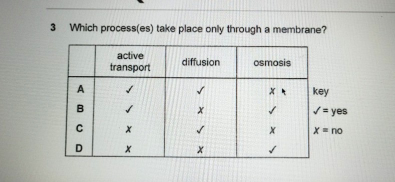 Ask ManyTutors