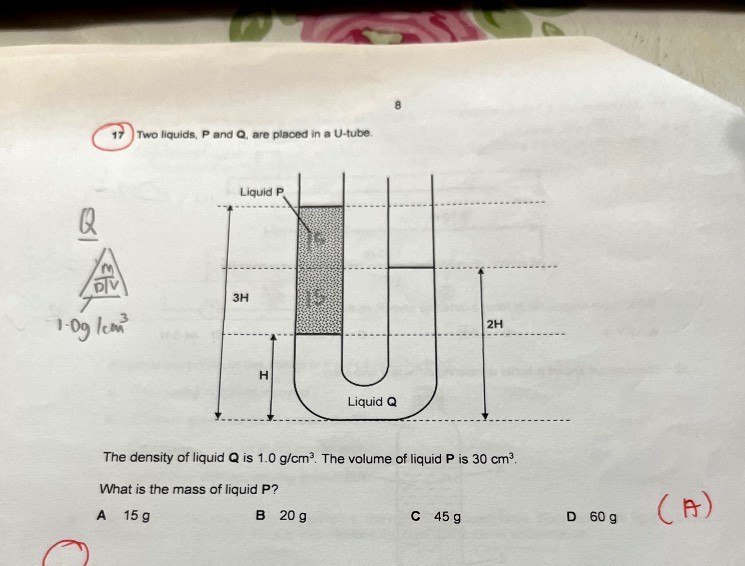 Ask ManyTutors