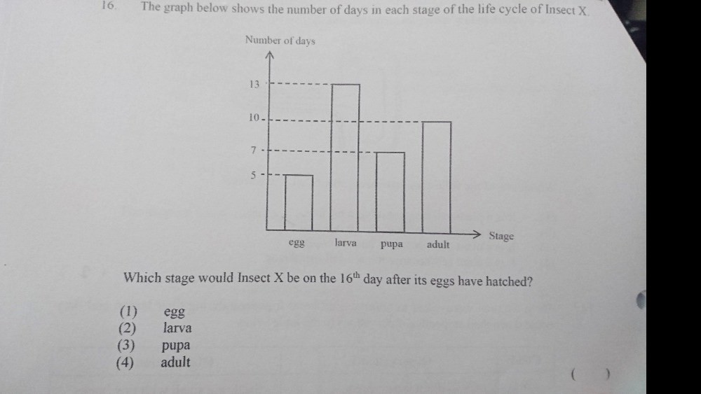 Ask ManyTutors